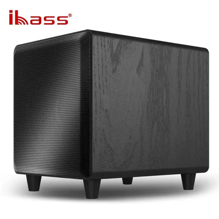 Ibass M10D Home 10 pouces caisson de basses actif 300W haut-parleurs haute puissance système de ciné