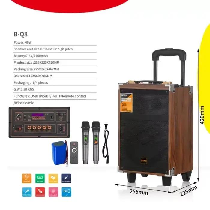Microphone sans fil en bois 6000W, avec Bluetooth, 12 pouces, pratique, Mobile, extérieur, danse car