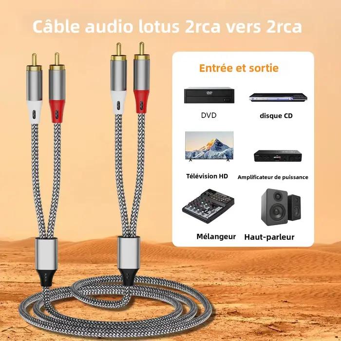 Câble audio double RCA