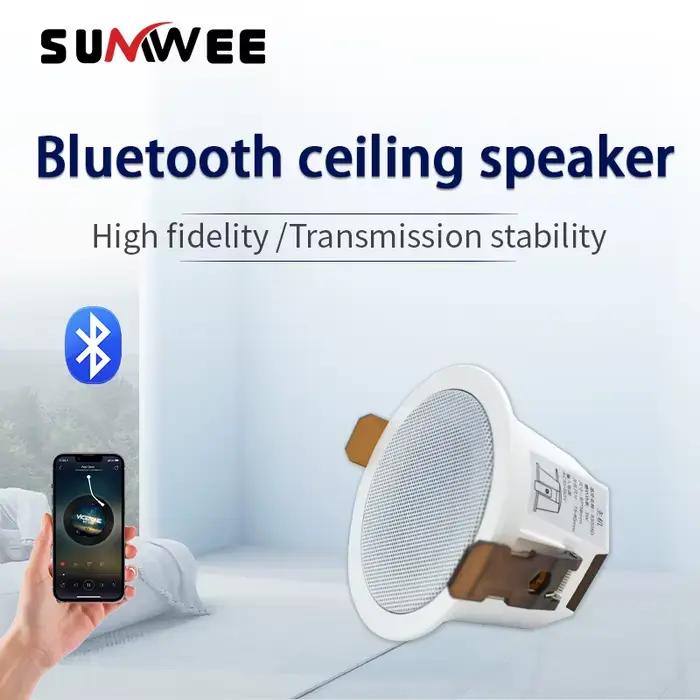 Mini haut-parleur de plafond Bluetooth 2 pouces pour l'audio domestique