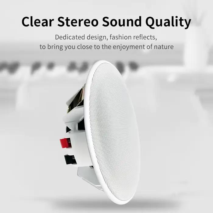 Système Audio domestique