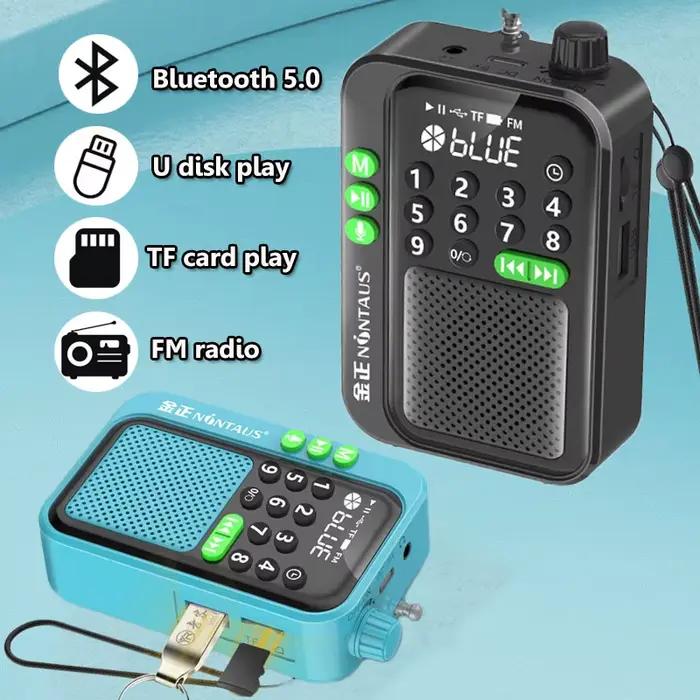 Mini Radio FM Portable