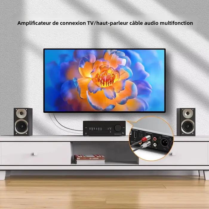 Câble audio double RCA