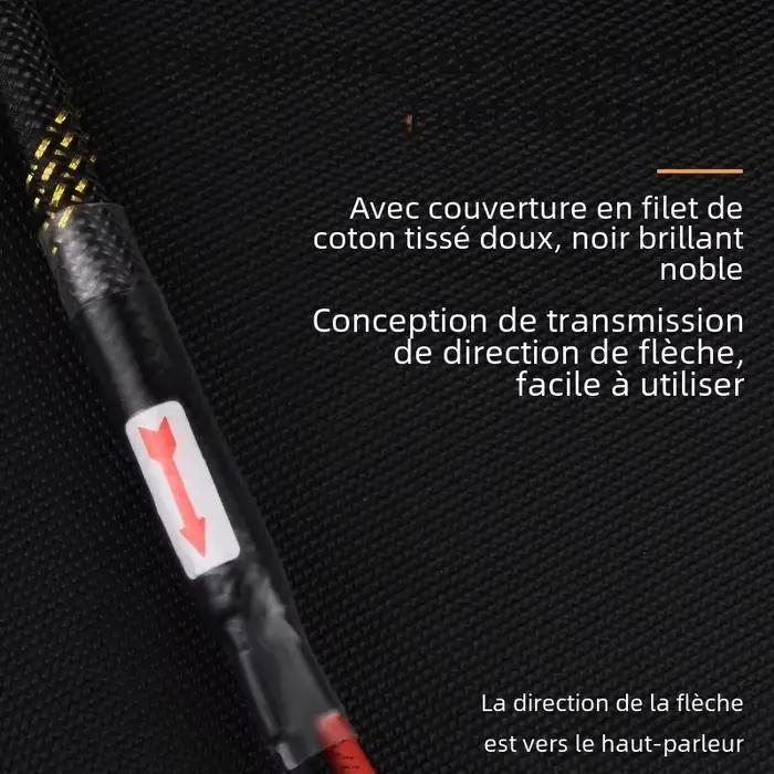 Câble audio haut-parleur