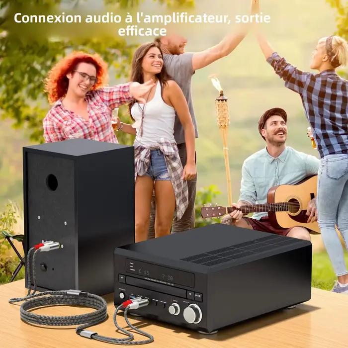 Câble audio double RCA