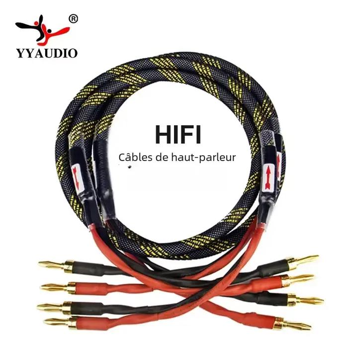 Câble audio haut-parleur
