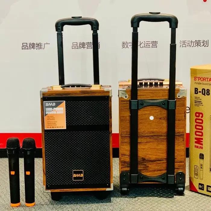 Haut-parleur portable mobile 6000W en bois avec microphone sans fil Bluetooth et subwoofer 12 pouces pour karaoké et danse en plein air