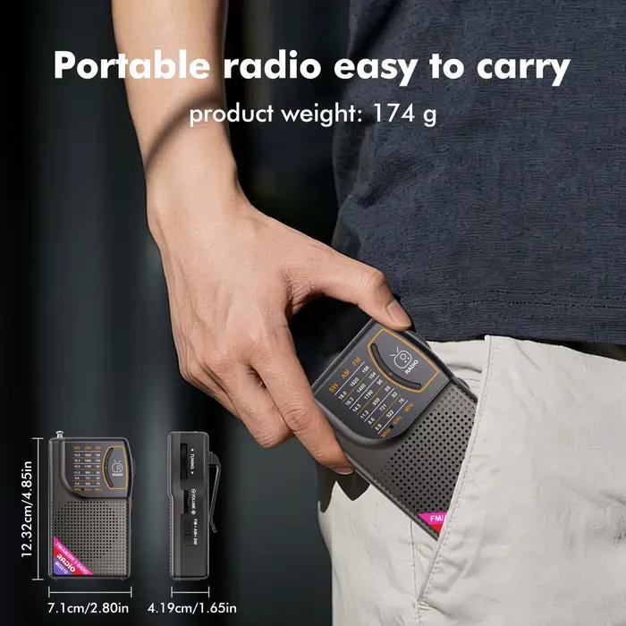 Radio portable AM/FM/SW avec grand haut-parleur et entrées multiples (TYPE-C/USB/AUX). Conception compacte