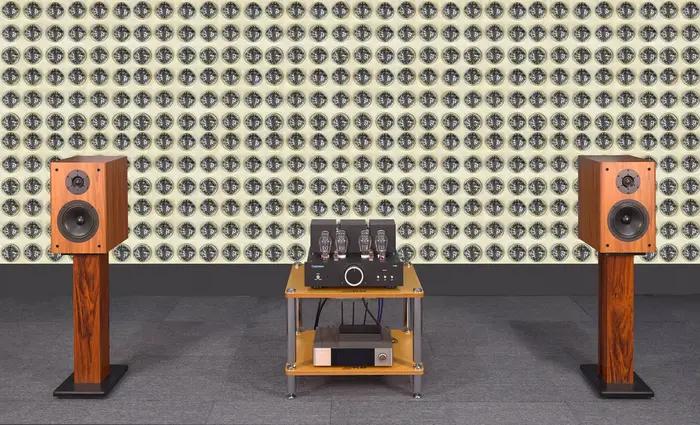 Enceintes bibliothèque audiophiles AVplay B65