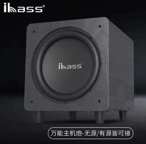Ibass 10 pouces 300W caisson de basses actif haute puissance sans fil Bluetooth home cinéma ordinate