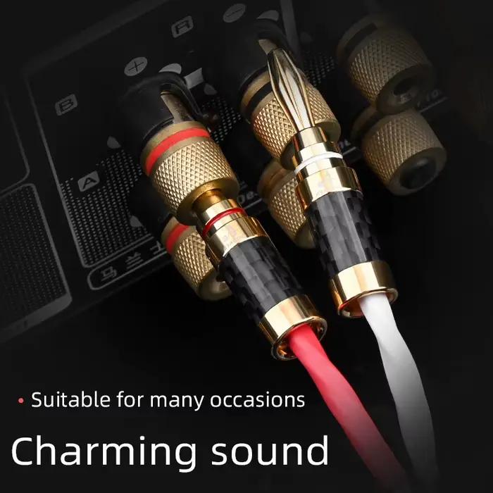 ATAUDIO une paire de câbles de haut-parleur HiFi haut de gamme OCC 12 actions cordon plaqué argent avec prise en Fiber