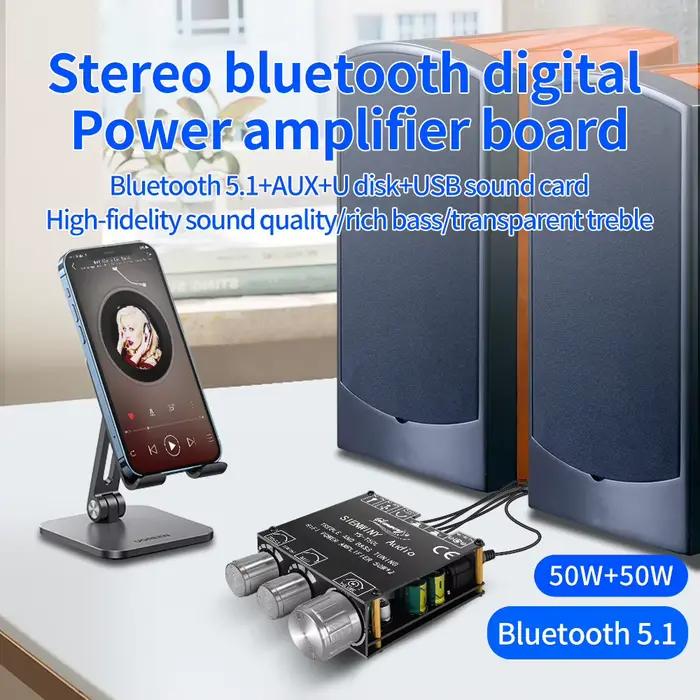 Amplificateur HiFi YS-T50L