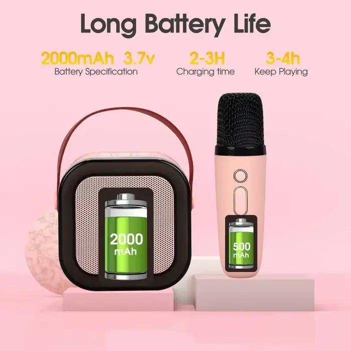 Nouveau haut-parleur portatif de Machine de karaoké de Bluetooth K12 avec 1-2 microphones sans fil