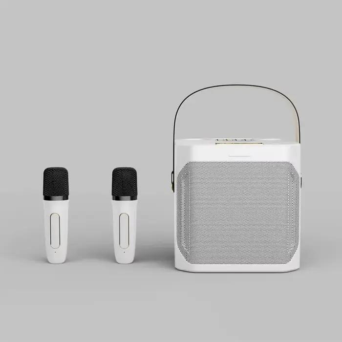 Haut-parleur Bluetooth karaoké avec double microphone surround stéréo 360 étanche pour soirées et fêtes familiales