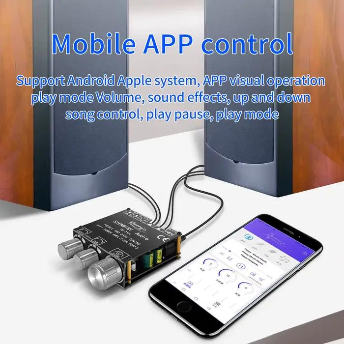 Amplificateur HiFi YS-T50L