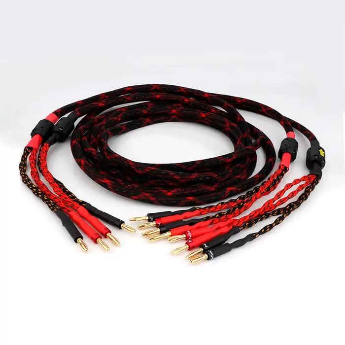 Câble de haut-parleur 9AWG 2B vers 4B