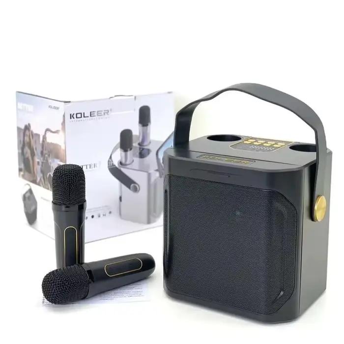 Haut-parleur Bluetooth karaoké puissant avec Microphone