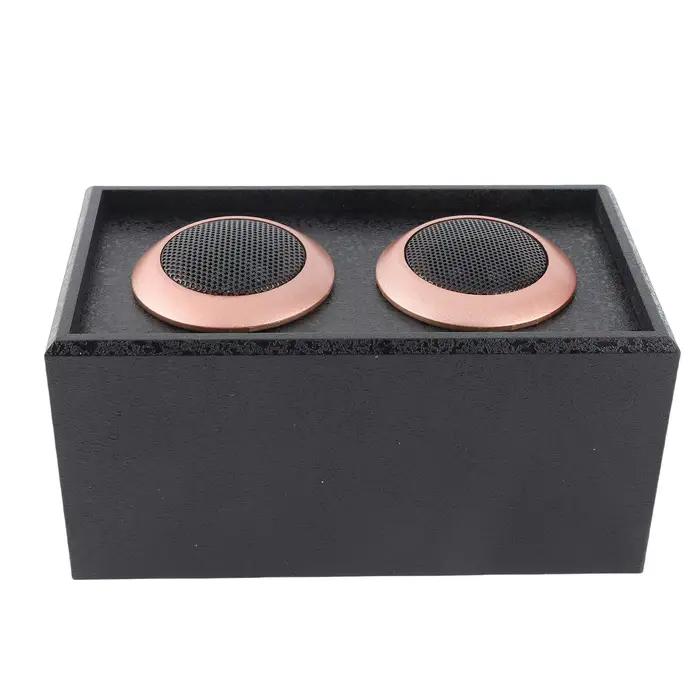 Haut-parleur HiFi en Bois pour Amplificateur