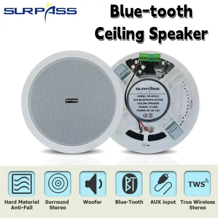Haut-parleur Bluetooth domestique et commercial 40W