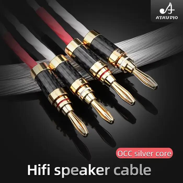 ATAUDIO une paire de câbles de haut-parleur HiFi haut de gamme OCC 12 actions cordon plaqué argent avec prise en Fiber
